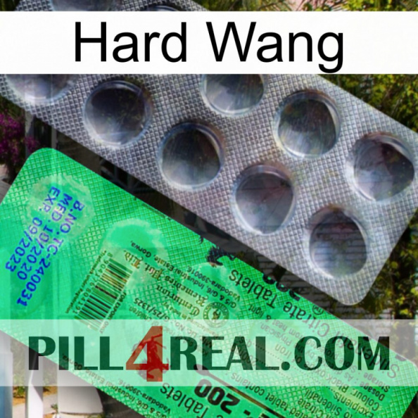 Hard Wang new04.jpg